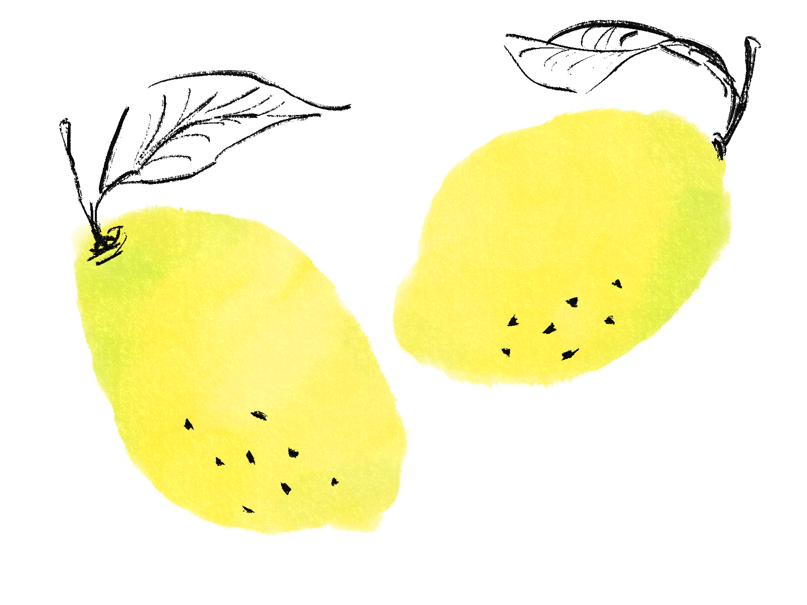 檸檬のアイコン